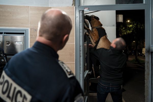 Des policiers et un chien de recherche de drogue lors d'une opération "Place nette XXL", en avril 2024, à Bron, dans la banlieue lyonnaise.