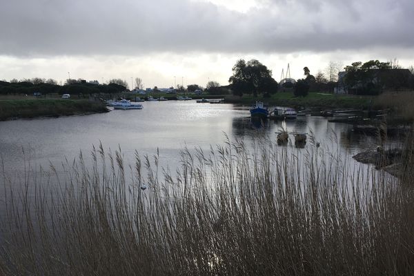 L'écluse du Brivet à Méan. Ici l'eau saumâtre de l'estuaire arrive jusqu'aux portes de l'ouvrage, à marée haute.