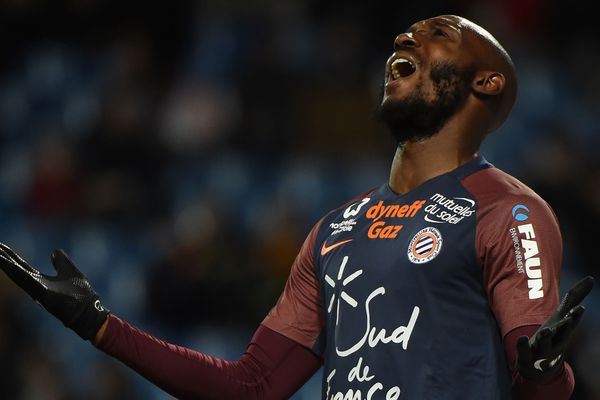 Montpellier, vainqueur de ses deux derniers matches de championnat, connaît un léger coup d'arrêt en concédant le nul (1-1) au stade de la Mosson devant Guingamp, samedi lors de la 26e journée de Ligue 1.