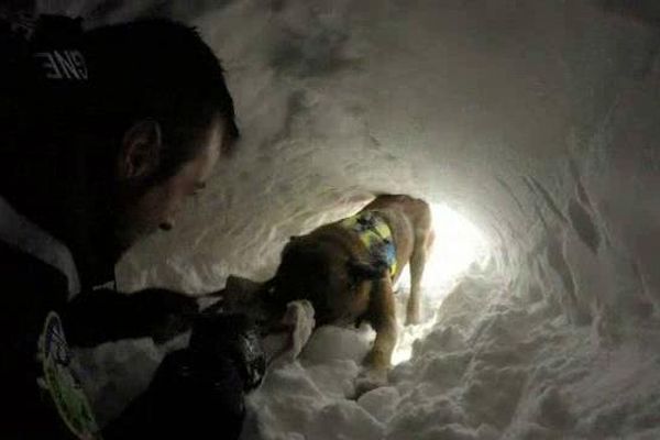 Le maître et son chien en situation d'avalanche