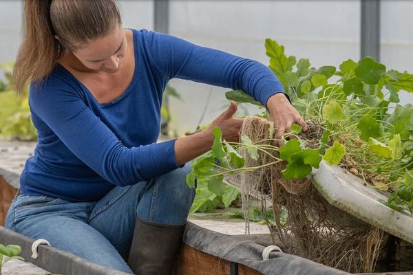 Jehanne monitors the growth and well-being of her vegetable garden on a daily basis.