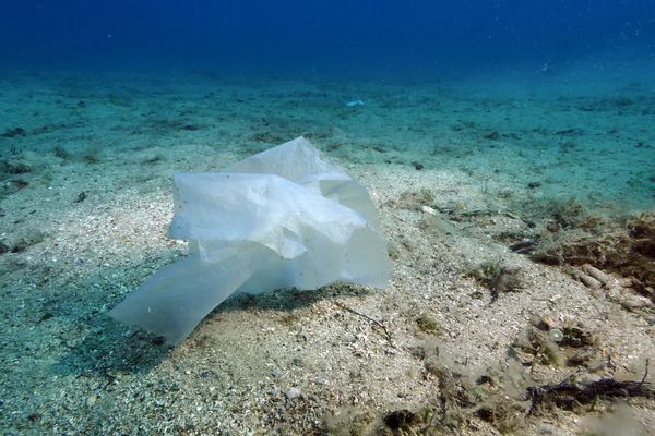 L'un des milliards de morceaux de plastique qui visitent les courants de la Méditerranée en ce moment...