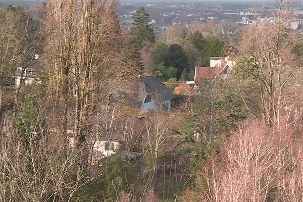 Les habitants de la colline du Rebberg à Mulhouse veulent préserver tout à la fois son patrimoine bâti et arboré, et leur tranquillité.