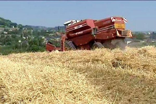 La sécheresse sévit depuis mi-juin en Corrèze. La canicule n'a fait qu'aggraver la situation.