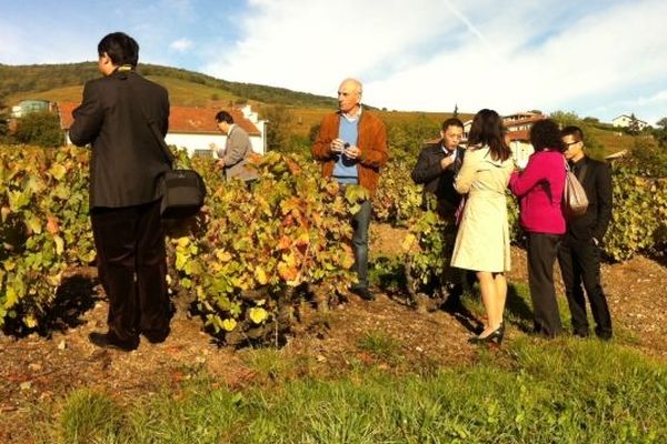 Des chinois dans les vignes du Beaujolais.