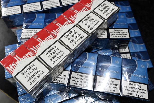 Paquets de cigarettes contrefaits, découverts lors d'une descente de douaniers sur un site de contrebande à Aartselaar, près de Bruxelles, le 4 août 2021.