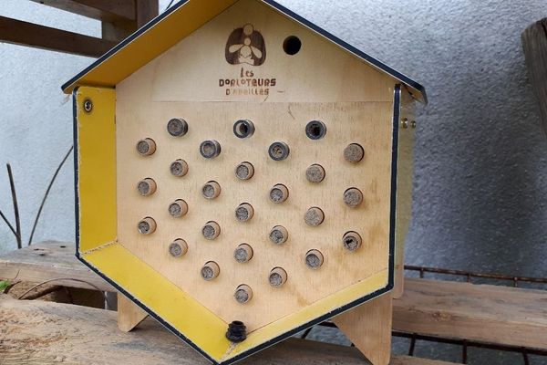 Les abeilles sauvages construisent ensuite leur nids dans les tubes de cette ruche.