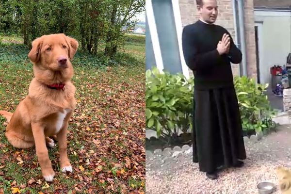 Le bénédicité vaut aussi pour Pastis, le nouveau chien de la paroisse de la cathédrale d'Amiens