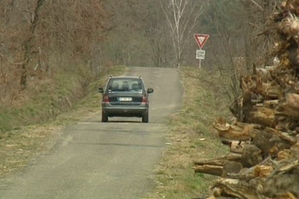 Les voitures doivent partager la route avec les camions qui transportent le bois. 