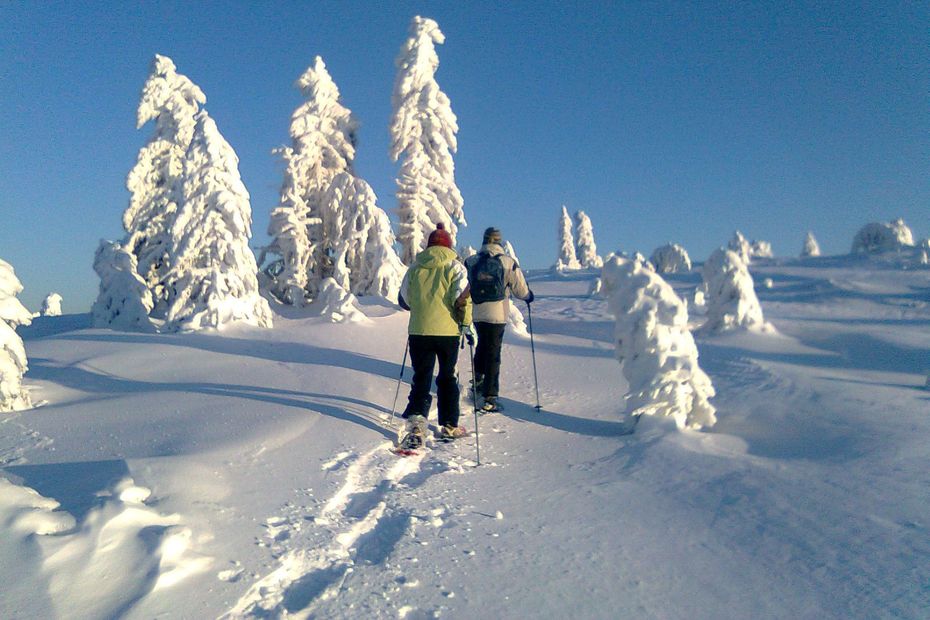 leisure and winter sports resume in Alsace