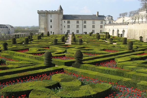 Promenade dans les allées du jardin de Villandry