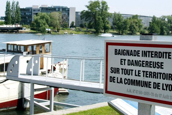 La baignade dans le Rhône, interdite dans la plupart des communes françaises, devient autorisée une fois la frontière suisse dépassée.