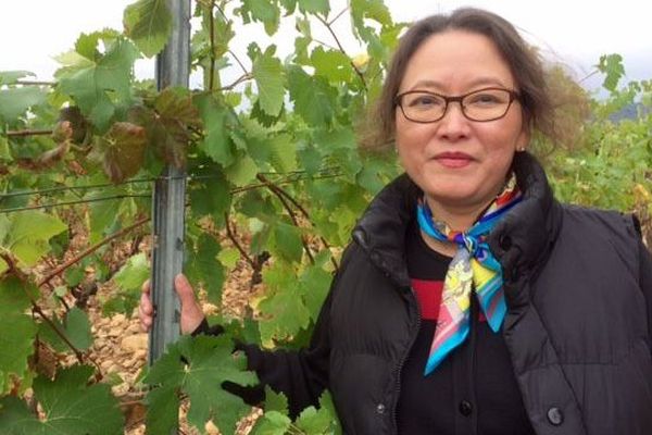 A Escales, dans les Corbières audoise, le domaine Château La Bastide est passé sous pavillon chinois - 12 octobre 2016