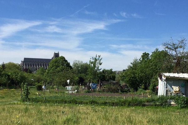 Les Marais De Bourges Un Paradis Fragile