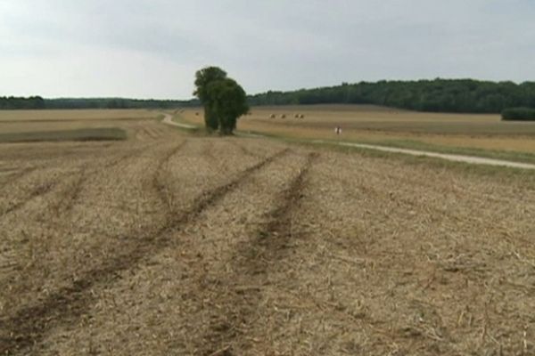 Le champ où s'est déroulé le drame. On y aperçoit des traces de véhicules.