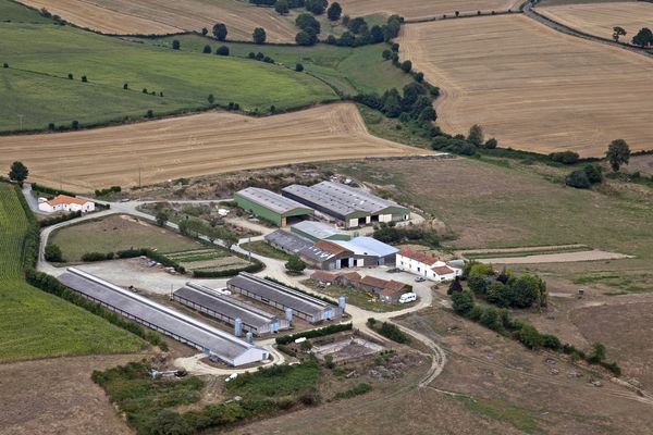 Selon l’ORES, les Pays de la Loire comptaient 31 100 en 2013, alors qu’elles étaient au nombre de 80 000 environ en 1990. Ici, une exploitation agricole vendéenne vue du ciel.