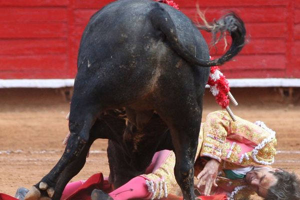 José Tomás après la voltereta à son premier toro. Le patron des arènes de Mexico est furieux contre lui. Mais il a déjà proposé de l'engager de nouveau le 28 février prochain!