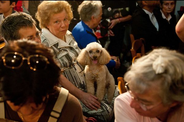 Des fidèles en compagnie de leur animaux de compagnie écoutent Monseigneur Dominique Philippe qui célèbre une messe en l’église Sainte Rita et bénit à cette occasion les animaux présents. A Paris le 6 novembre 2011.