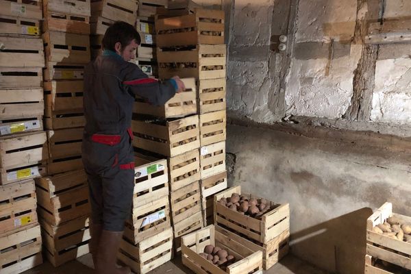 Le stock de pommes de terre de ce producteur est déjà presque épuisé