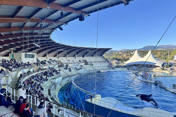 Marineland doit définitivement fermer ses portes le 5 janvier, à la fin des vacances scolaires de Noël.