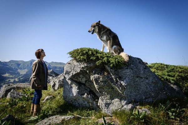 Anny Duperey tient le rôle de Marceline Dumas dans le film "Mort d'un berger", diffusé ce mardi 23 janvier sur France 3 à 21h10.