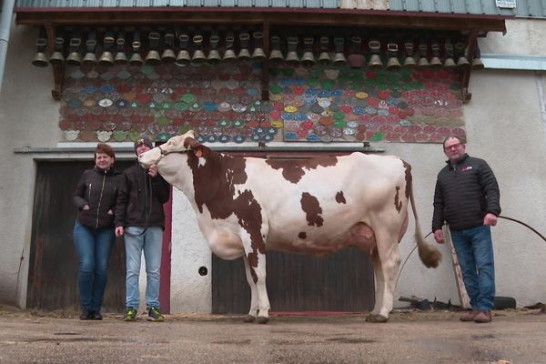 La famille Laffly et Mûre qui participe au concours de la Montbéliarde au SIA 2022