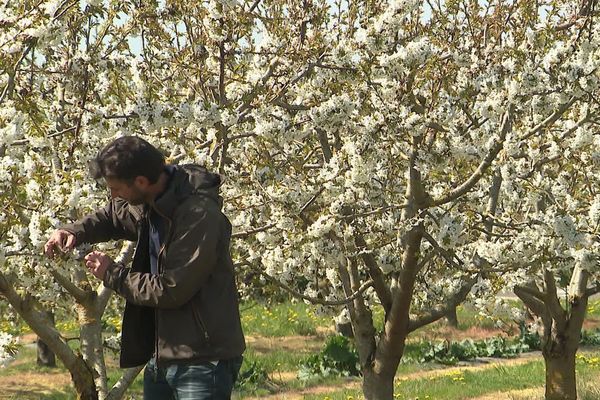 À Bugnicorut, Ghislain Mascaux, producteur, propose des variétés de fruits et légumes en libre service