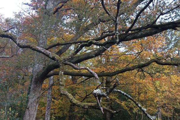 La pluie quitte la région aujourd'hui