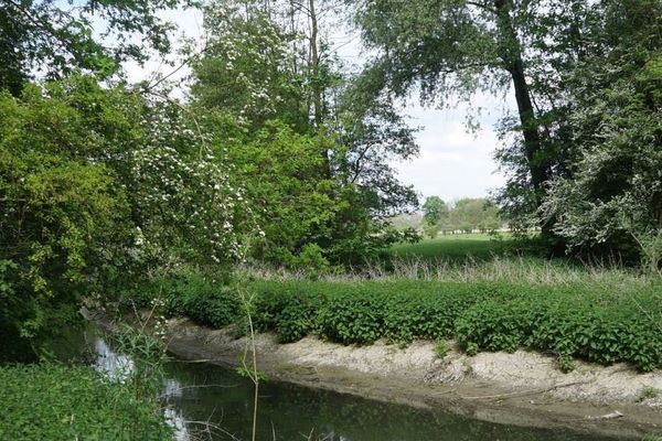 Réserve nationale du héron, à la limite avec Villeneuve d'Ascq.