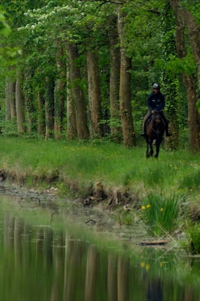 Les cavalières s'élancent sur la route d'Artagnan le long du canal de la Sauldre