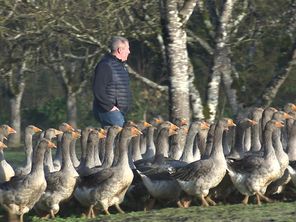 Albin Meynard et sa famille élèvent des oies dans le Périgord depuis trois générations.