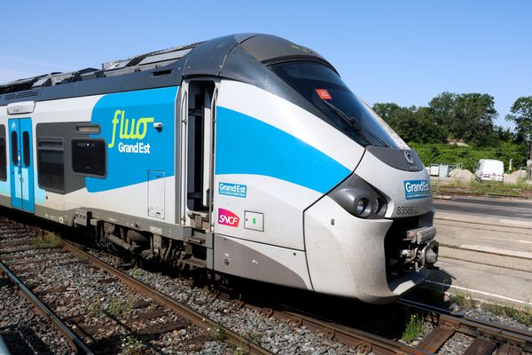 Un train TER Fluo Grand Est, à Strasbourg, en juin 2024. (illustration)