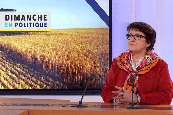 Christiane Lambert, son bilan à la tête de la FNSEA, dans Dimanche en Politique