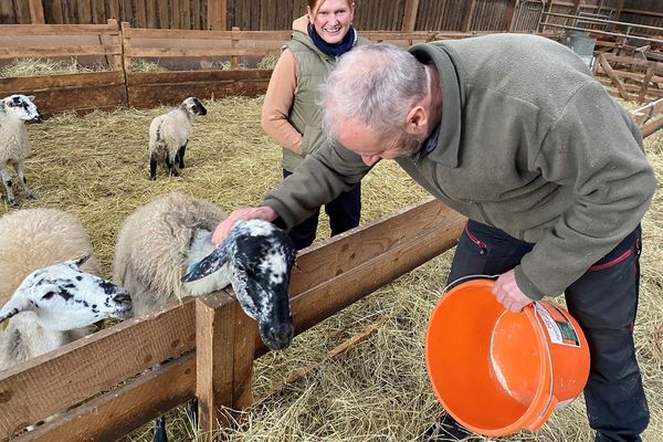 Marianne et Laurent Strach ont installé leur ferme avec leurs vaches allaitantes et leurs brebis. Ils sont installés en agriculture biologique depuis 2016.