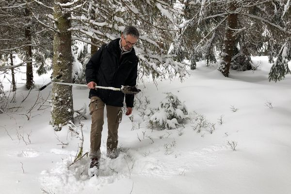 Le Conservatoire d'espaces naturels Rhône-Alpes surveille les tourbières du lac Genin. 