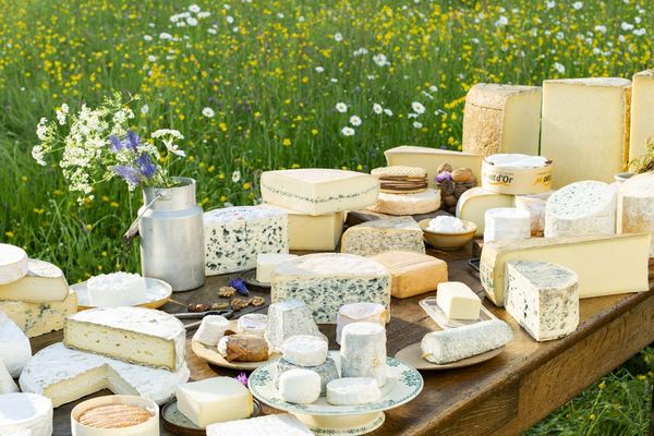 Parmi les 50 spécialités présentes à la première édition de la fête des AOP, deux fromages de la région parisienne : le Brie de Melun et le Brie de Meaux.