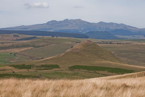 Le plateau du Cézallier en Auvergne se dévoile, avec le massif du Sancy qui se dessine en arrière-plan.