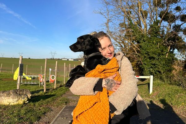 Misa a retrouvé sa chienne après neuf jours de traque.