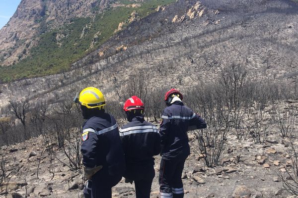 28/05/2017 - 80 hectares de maquis brûlés dans un incendie sur la commune de Sarrola Carcopino (Corse du Sud)