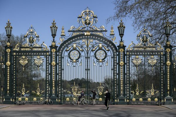 MÉTÉO : Les jardins et les cimetières de la Ville de Lyon fermés à cause de fortes rafales de vent.