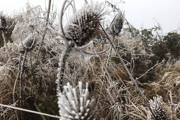 Quelques chances à nouveau de voir du givre dimanche matin, au réveil, dans certains endroits de la région (Le givre, la semaine dernière à Ourouer-les-Bourdelins (18)).