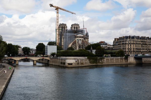 Les travaux de restauration de Notre-Dame, le 16 juin dernier (illustration).