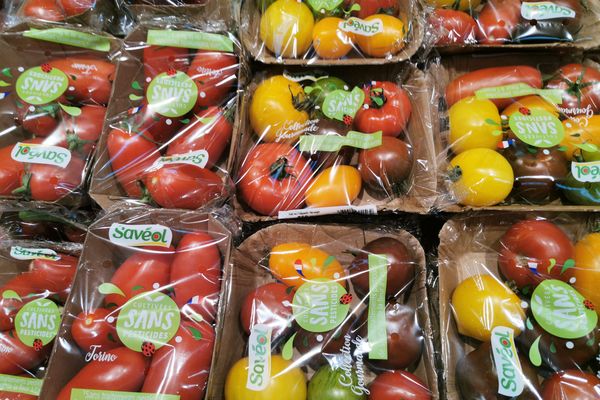 Emballages en plastique pour des fruits et légumes, image d'illustration.