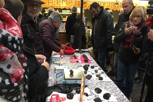 Pour ce 1er marché aux truffes, les producteurs ont proposé 6 kilos de truffes, vendues 900 euros le kilo.