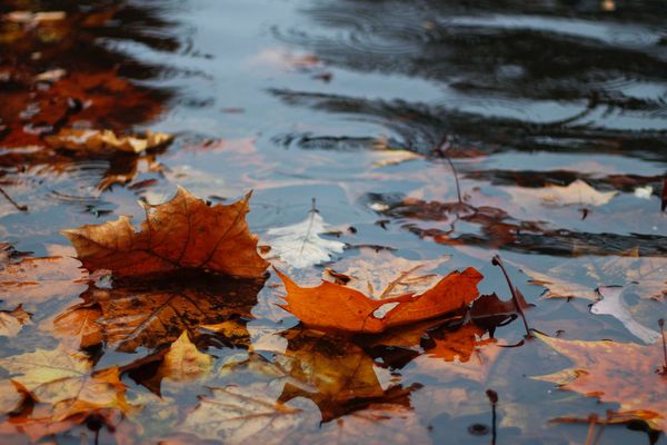 Même faible, la pluie fera à nouveau parler d'elle, ce mardi. 