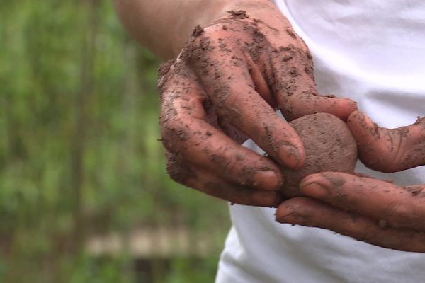 Préparation d'une bombe à graines, "guérilla verte" pour reverdir nos espaces urbains - 30/04/23 -