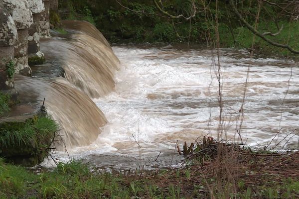 Selon Météo France, il a plu entre 10 et 40 mm de plus que la moyenne ce mois de février sur les trois départements du Limousin. Après un automne déjà exceptionnellement pluvieux, les réserves sont donc au plus haut.