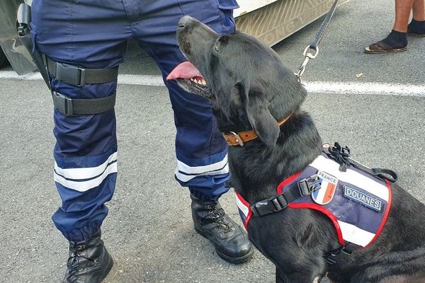 Début février, les douaniers de Clermont-Ferrand ont effectué des saisies de tabac et de drogue dans le Puy-de-Dôme et la Haute-Loire.