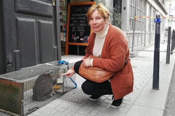 Samedi 23 octobre 2021 - Le chat Marius retrouve sa maîtresse après 11 jours dans un immeuble sur le point de s'effondrer dans le centre-ville de Dieppe