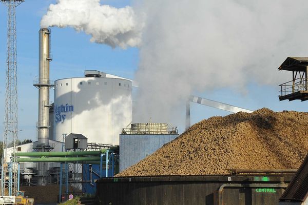 L'usine Tereos d'Escaudoeuvres.